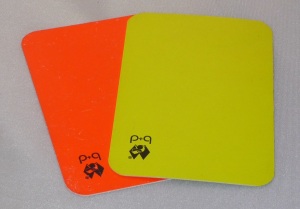 Das Bild zeigt eine gelbe und rote Karte im Volleyball von der b+d.