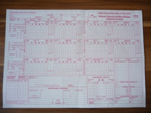 Das Bild zeigt einen blanko Spielberichtsbogen für Volleyball.