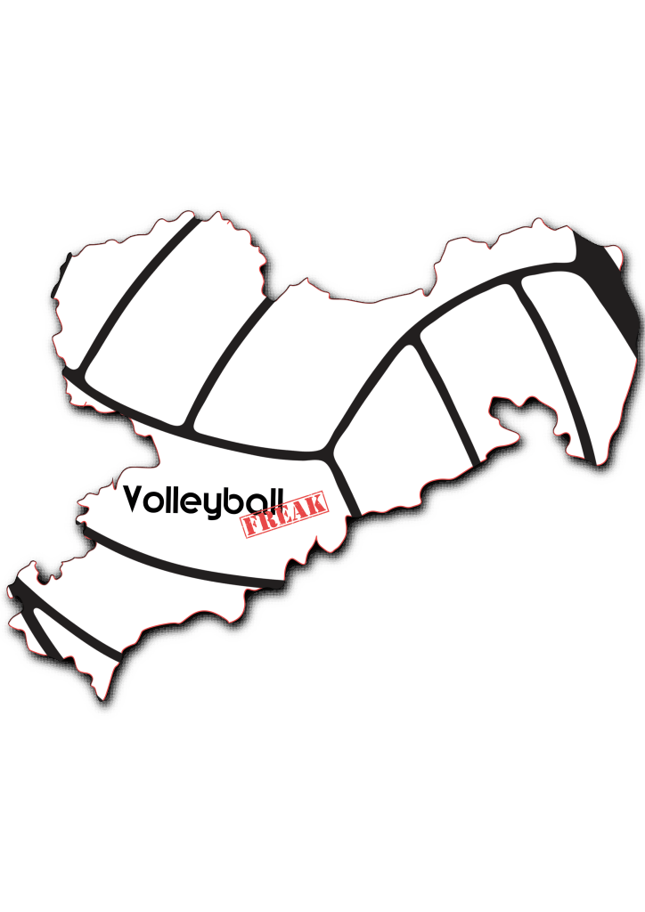 Das Bild zeigt die Umrisse von Sachsen. In der Fläche von des Landes sind die Umrisse eines Volleyballs zu sehen. Desweiteren ist in der Mitte das Logo von VolleyballFREAK