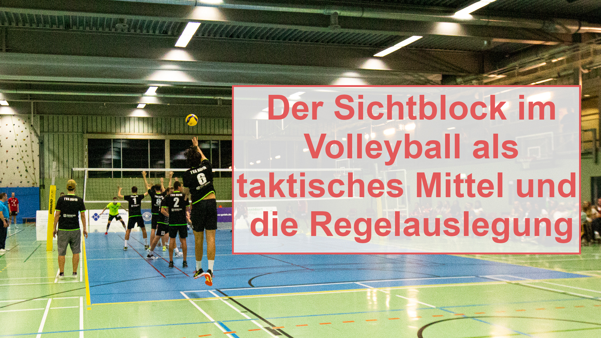 Der Sichtblock im Volleyball