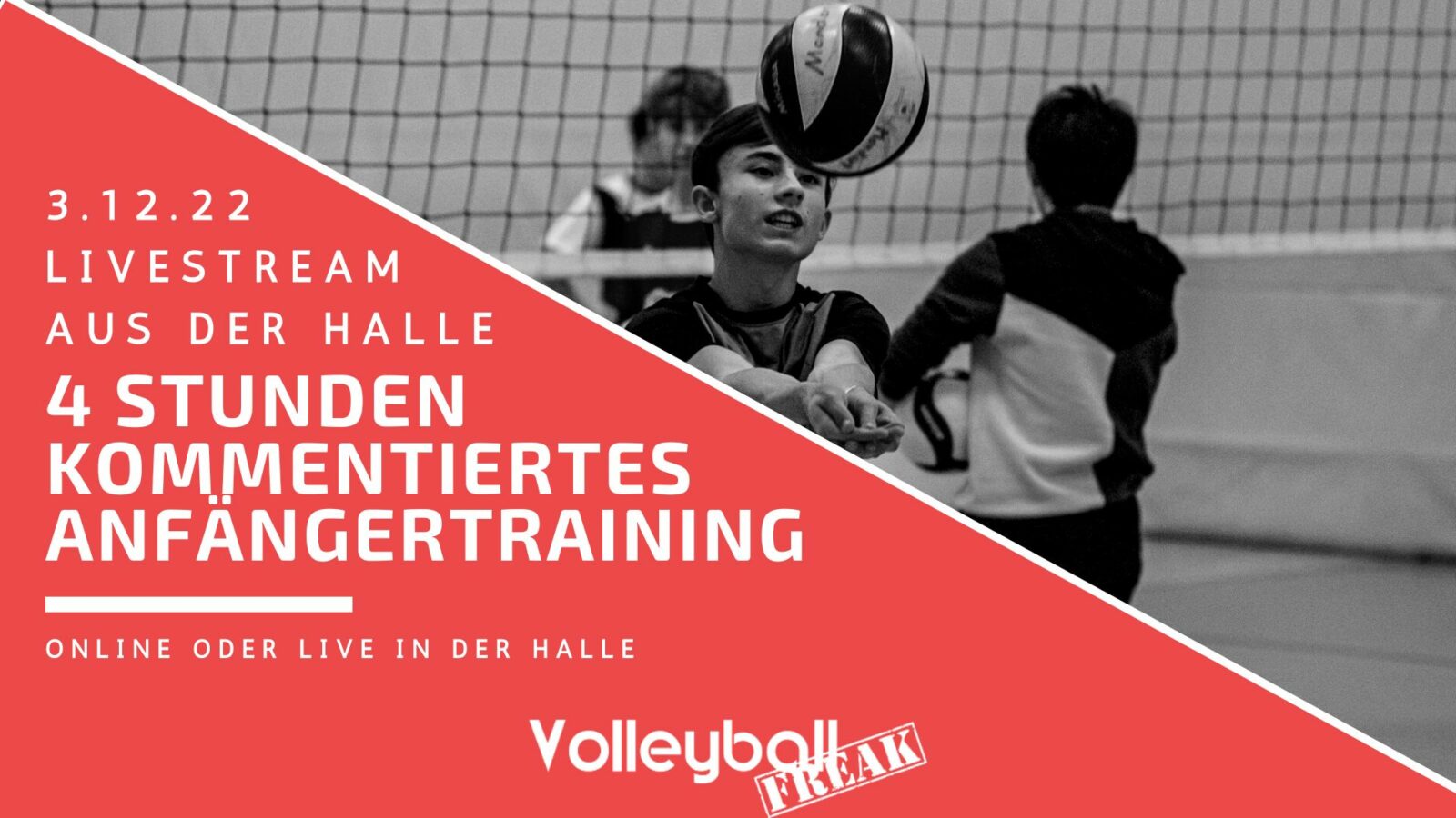 VolleyballFREAK Online Trainerfortbildungen für Volleyballtrainer