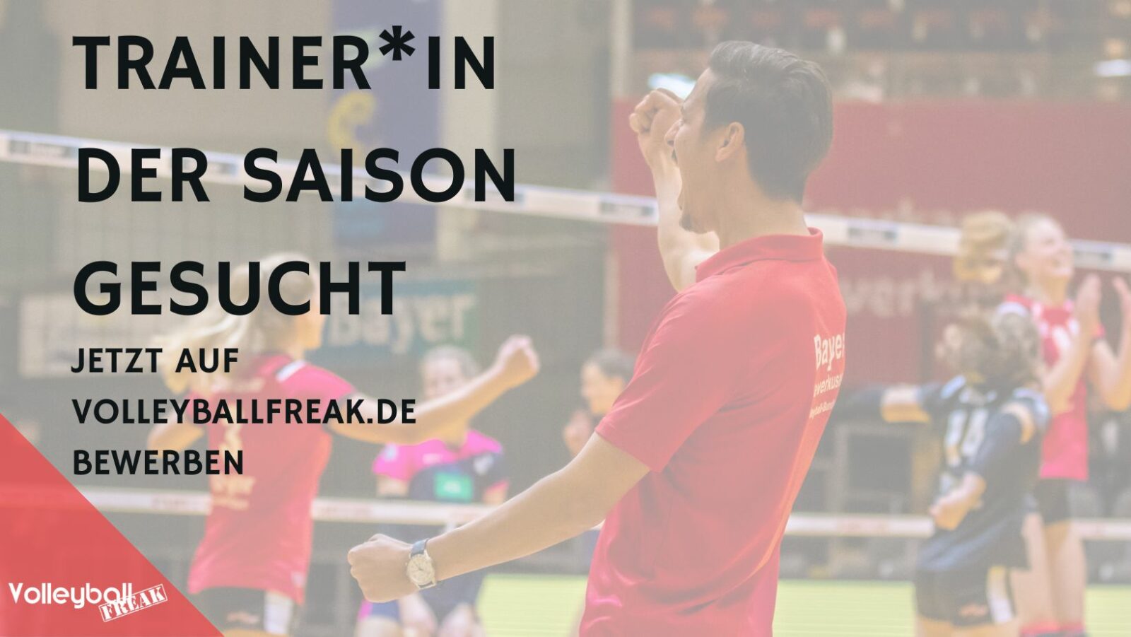 VolleyballFREAK TIPPS Fanartikel zum Anfeuern und Krach machen