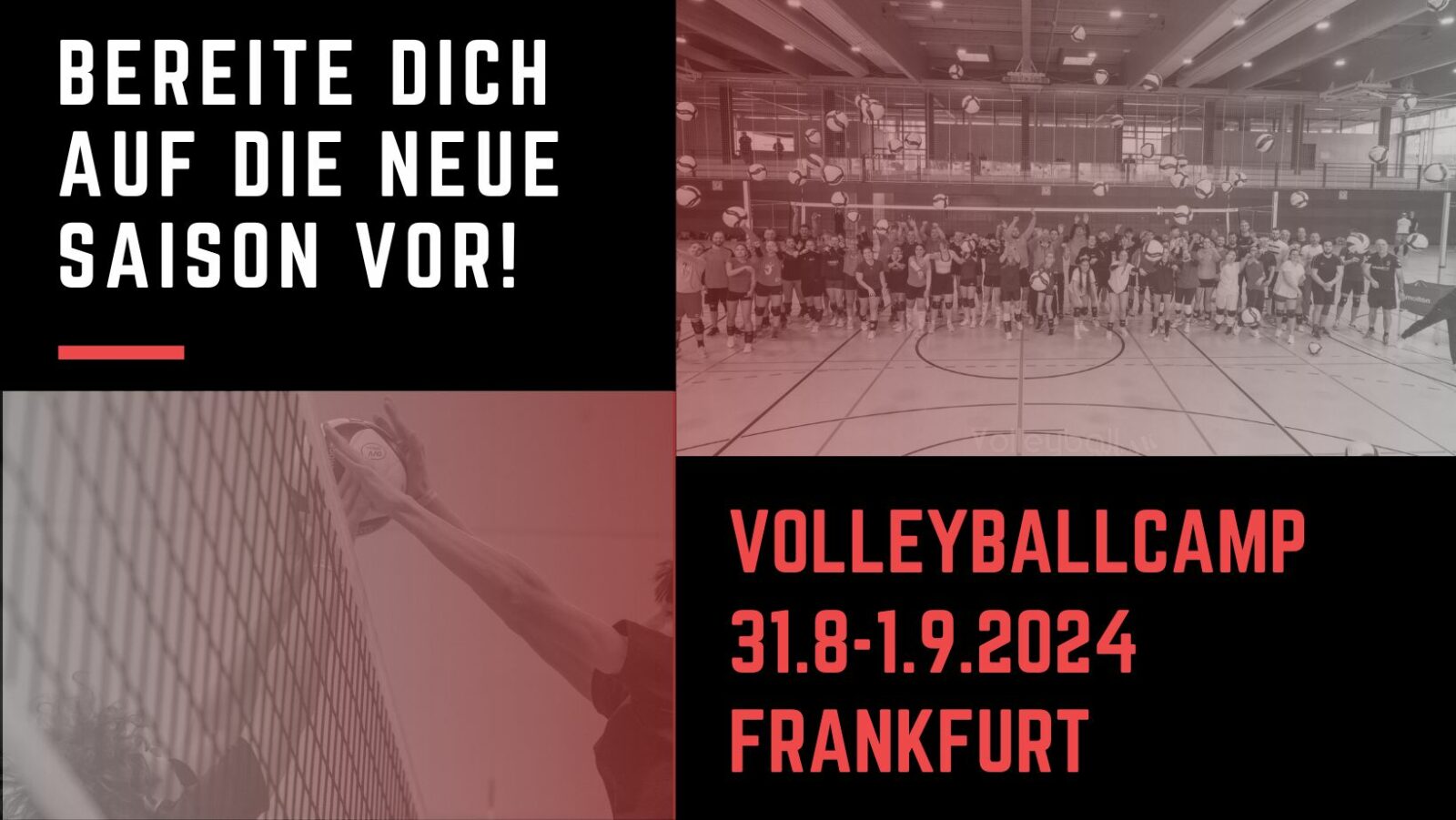Volleyballcamp in Frankfurt 31.8-1.9.2024