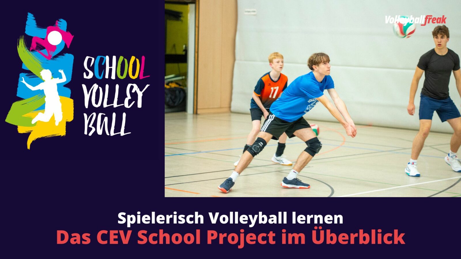 Spielerisch Volleyball lernen: Das CEV School Project im Überblick