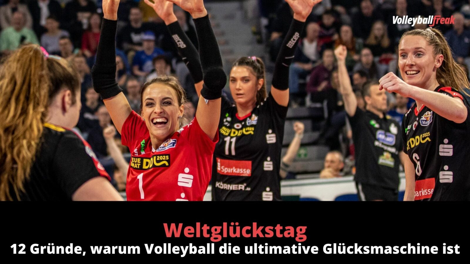 Weltglückstag: 12 Gründe, warum Volleyball die ultimative Glücksmaschine ist