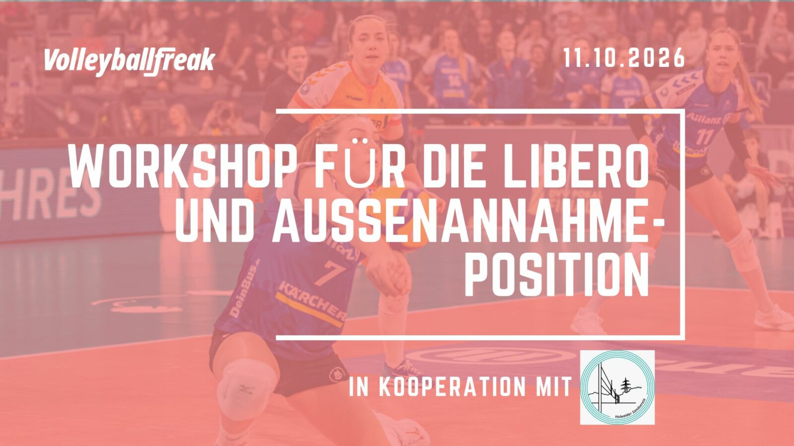 Volleyball Libero & Außenannahme Workshop am 11.10.2026 in Köln