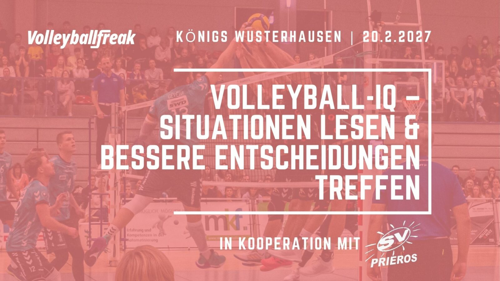 Workshop: Volleyball-IQ – Situationen lesen & bessere Entscheidungen treffen