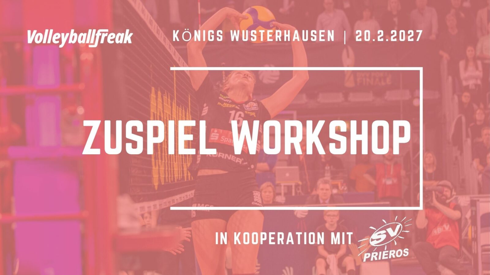 Zuspiel-Workshop am 20.2.2027 in Königs Wusterhausen